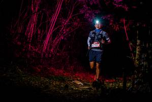 BIB: 7045
                            <button type="button" onclick="openModal(7014589)" class="btn btn-primary btn-sm float-right btn-popup" data-toggle="modal" data-target=".modal-high-quality">
                        <i class="fas fa-shopping-cart"></i> Add to Cart
                    </button>
                                            <button type="button" onclick="isThisMe(7014589, true)" class="btn btn-success btn-sm float-right btn-popup btn-isme hidden" data-toggle="tooltip" data-placement="bottom" title="นี่คือรูปของคุณใช่ไหม คลิกที่นี่เพื่อเอาเข้าอัลบั้ม">
                        <i class="fas fa-plus"></i> Add to album
                    </button>
                    <button type="button" onclick="isThisMe(7014589, false)" class="btn btn-warning btn-sm float-right btn-popup btn-isnotme hidden">
                        <i class="fas fa-ban"></i> Remove from album
                    </button>